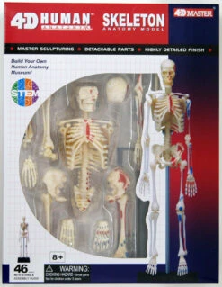 Aoshima 107119 4D Vision No.08 Whole Body Skeleton Model Non-scale Kit