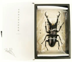 Kaiyodo Revogeo Giraffe Stag-Beetle Figure