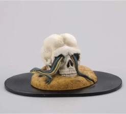 Kaiyodo MiniQ Kawanabe Kyosai Gaki Bonkei (6 Pcs Box) -Model Toys 4537807022165 f8fa84ac29e4a31313508fb0fe5d4b57 25648.1591949603