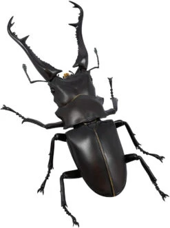 Kaiyodo Revogeo Giraffe Stag-Beetle Figure 21 Kaiyodo Revogeo Giraffe Stag-Beetle Figure -Model Toys 4537807170071 eff0342c63a4e750b2f5758bd640b460 04585.1621568492