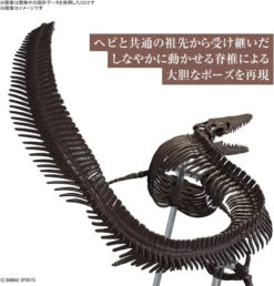 Bandai Imaginary Skeleton 1/32 Mosasaurus Plastic Model -Model Toys 4573102654281 9629a6332e8a012fe773445aa2e2f2bc 57036.1691498398