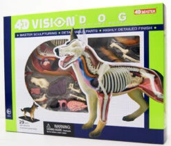 Aoshima 107102 4D Vision No.18 Dog Anatomy Model Non-scale Kit -Model Toys 4905083107102 a3c793b6ca00e6b2ed417d3729d2aa30 07295.1587455776
