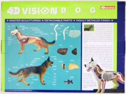 Aoshima 107102 4D Vision No.18 Dog Anatomy Model Non-scale Kit -Model Toys 4905083107102 dbd0ff34ccd0967d9d10077385e52d5d 47670.1587455775