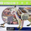 Aoshima 107102 4D Vision No.18 Dog Anatomy Model Non-scale Kit