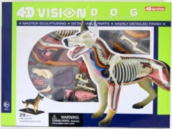 Aoshima 107102 4D Vision No.18 Dog Anatomy Model Non-scale Kit