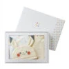 Pokemon Center Original Monpoke Newborn Preparation Gift Set (Pastel Colors 3 Pieces Set)