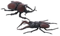 Fujimi Research Series Stag Beetle Vs. Japanese Rhinoceros Beetle Duel Set Plastic Model 5 Fujimi Research Series Stag Beetle Vs. Japanese Rhinoceros Beetle Duel Set Plastic Model -Model Toys 4968728170862 b528650d4254fa62e851c187833fcbf3 45379.1632817754