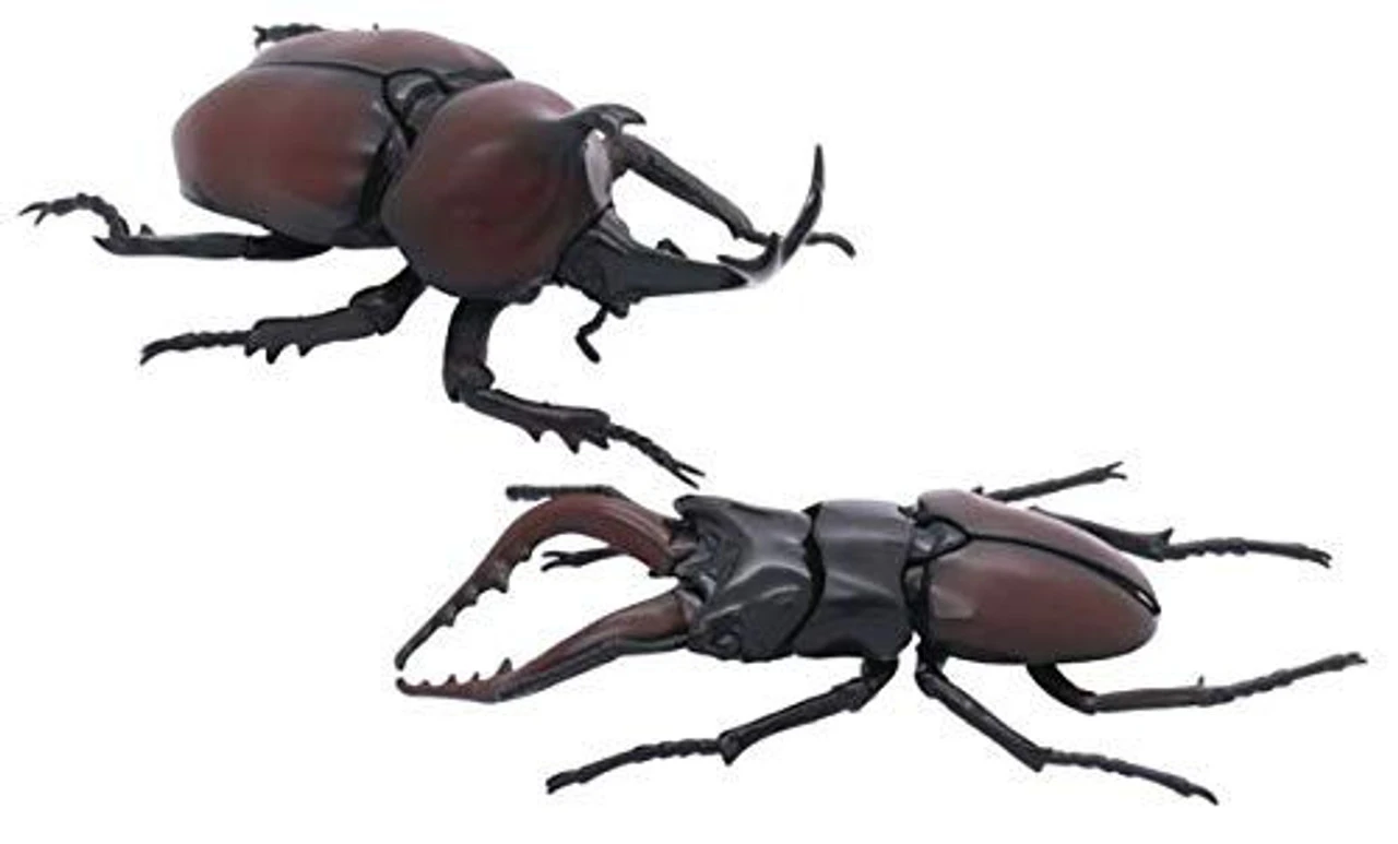Fujimi Research Series Stag Beetle Vs. Japanese Rhinoceros Beetle Duel Set Plastic Model 3 Fujimi Research Series Stag Beetle Vs. Japanese Rhinoceros Beetle Duel Set Plastic Model - Image 3