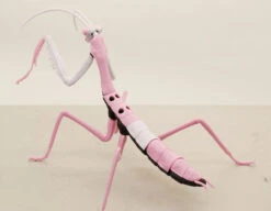 Fujimi Research Series Tenodera Aridifolia (Japanese Giant Mantis) Evangelion 08 Ver. Plastic Model -Model Toys 4968728171197 eaa5a21ab62752eeb528d93f45e67716 92103.1669342197