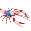 Fujimi Research Series Procambarus Clarkii / American Crawfish (Kinnikuman) Plastic Model