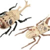 Fujimi Research Series Beetle & Stag Beetle Pure Titans Ver. Plastic Model (Attack On Titan)